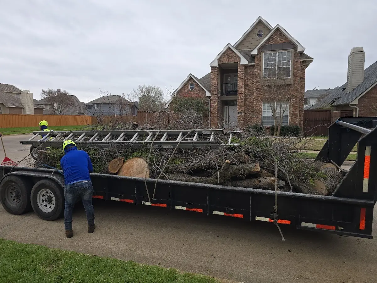 Expert Lot Clearing with proper safety equipment in Lansing